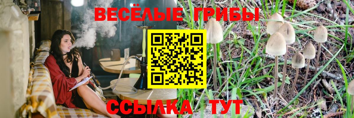 Галлюциногенные грибы Psilocybe  Псилоцибиновые грибы мухоморы  дарнет шоп  Батайск  Вход с VPN 